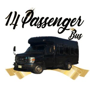 14 Passenger Party Bus