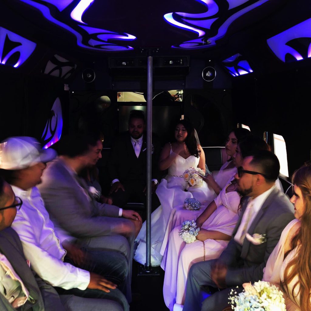 Wedding party in the party bus
