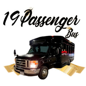 19 Passenger Party Bus