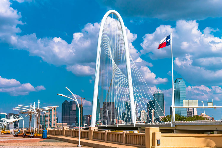 Discover Dallas An Educational Journey