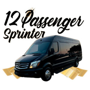 12 Passenger Sprinter